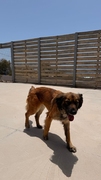 ATENEA Imagen 2